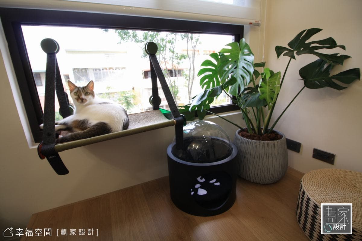 融合人貓同居需求 百萬預算打造Loft輕工業宅