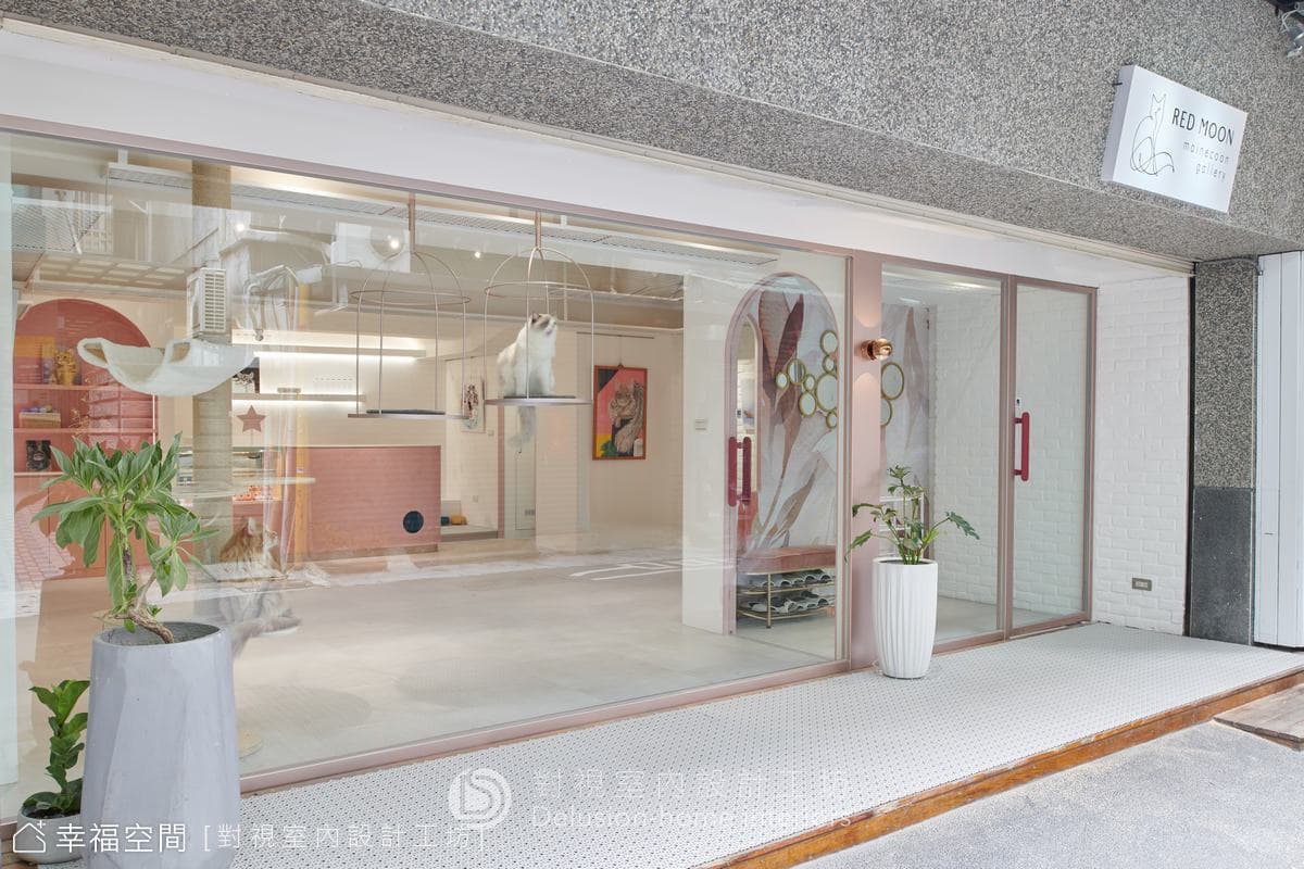 紅玥緬因貓咖啡藝廊│混搭風│16坪
