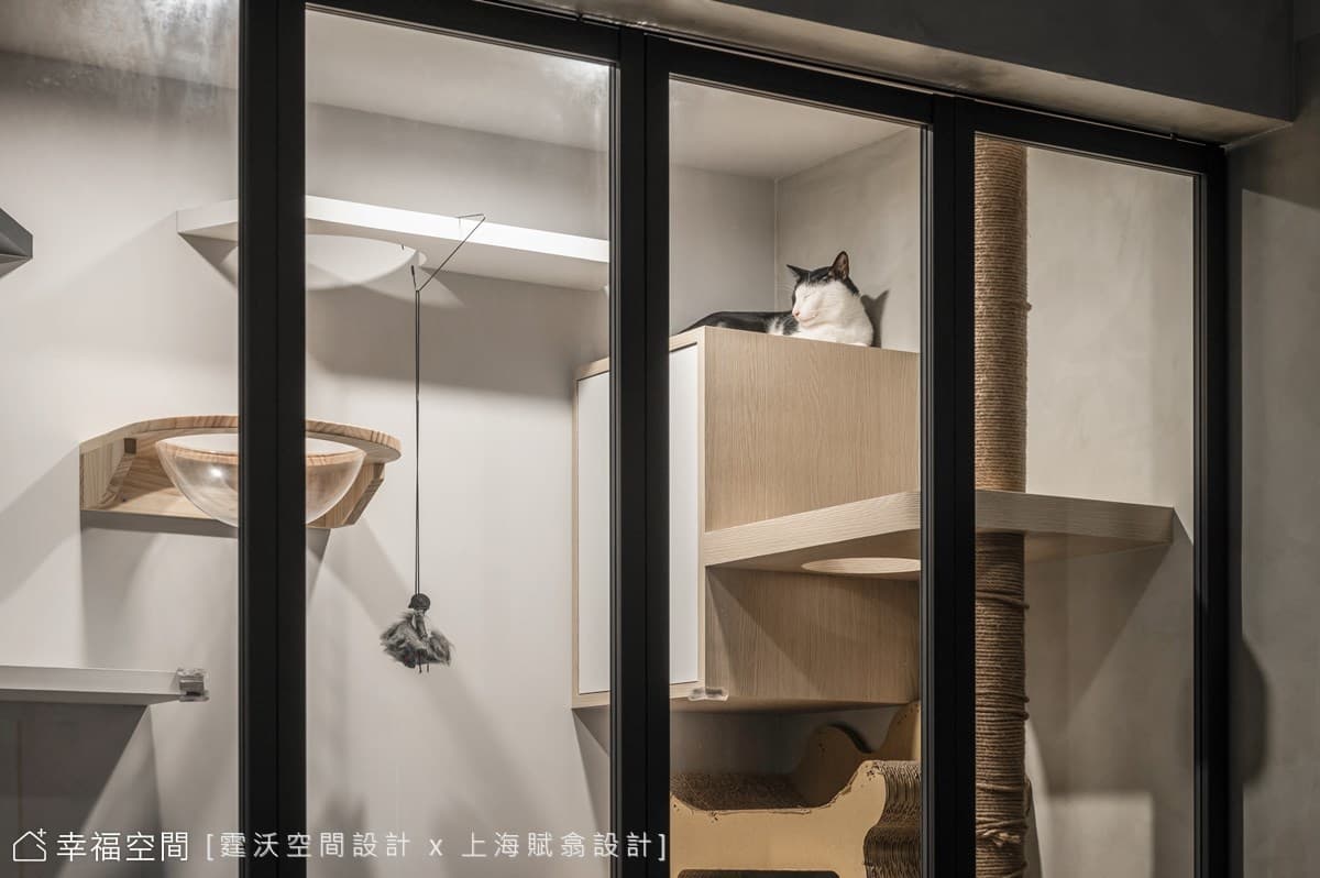 兩人三貓的美好時光，浸潤日光的現代清新宅│現代風│25坪
