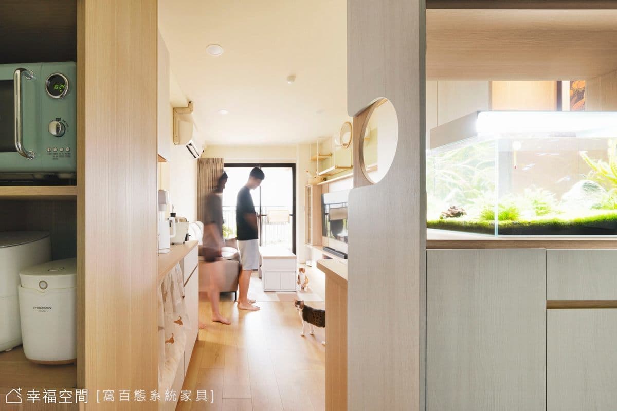 雙倍可愛！小倆口的專屬貓宅|混搭風|36坪