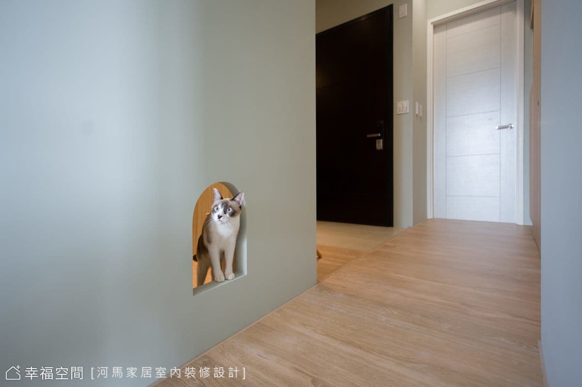 2人×2貓×1狗 漫光暈染毛孩共生宅│無印風│15坪