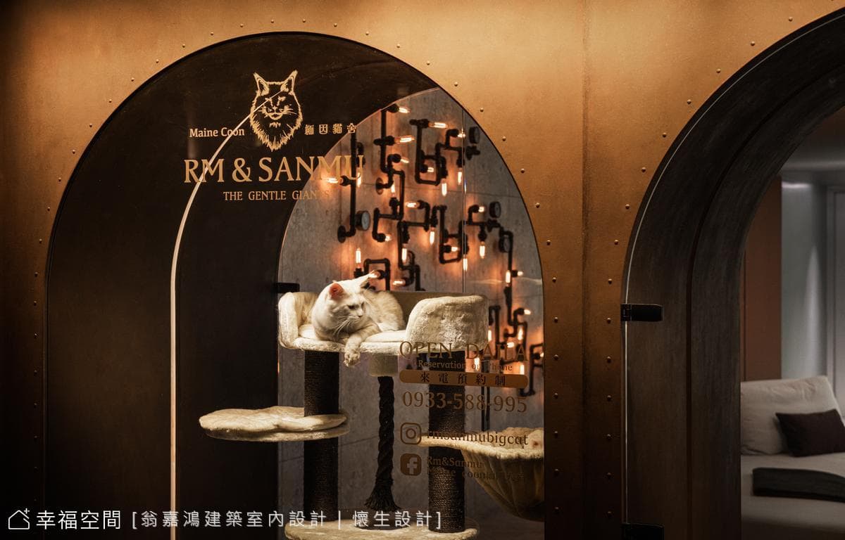 59.三重-Rm&Sanmu 緬因貓舍概念館-20坪-挑高空間