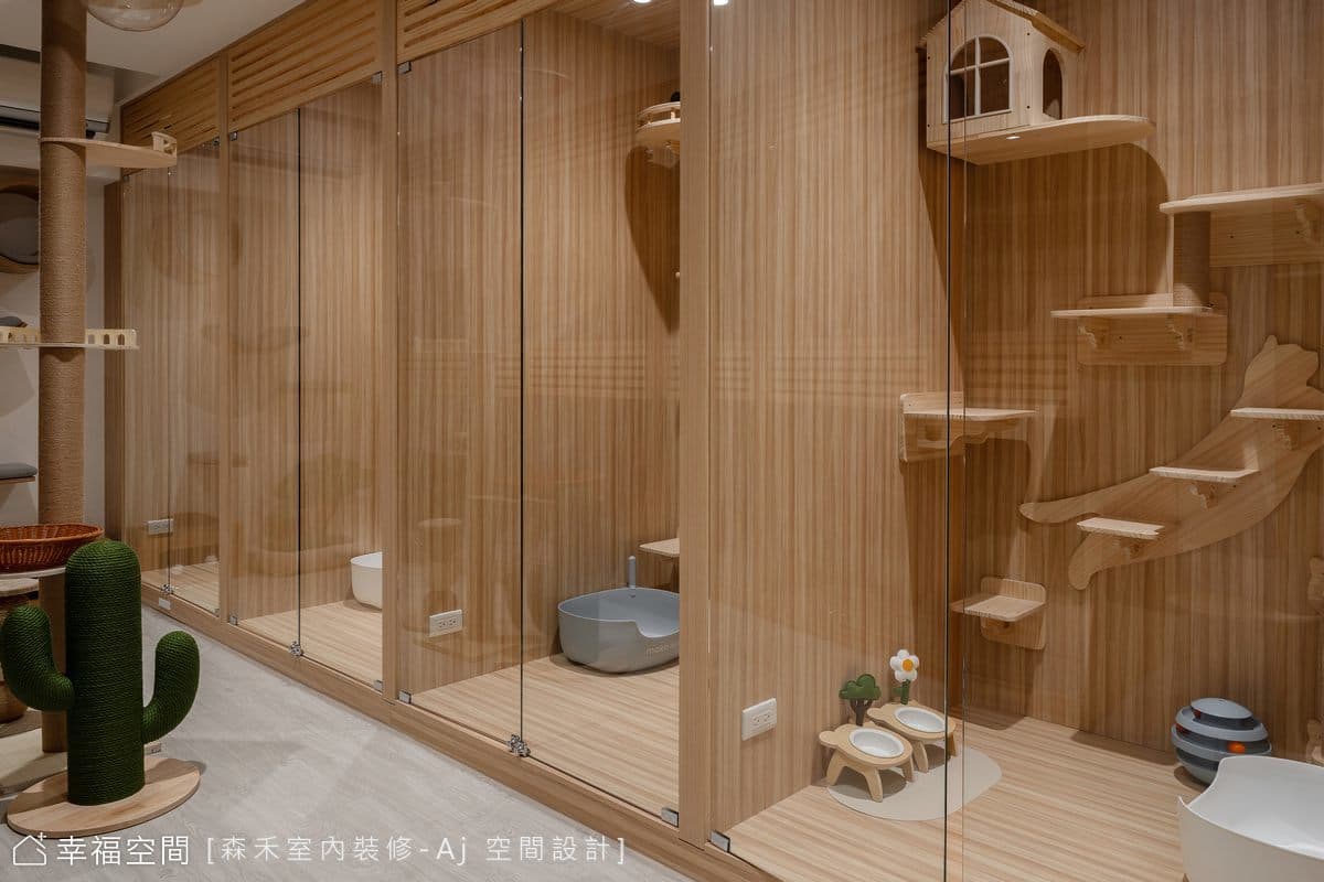 貓居│現代風│20坪