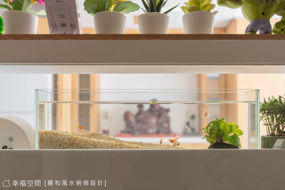 老屋變身 8坪小宅機能空間│現代風