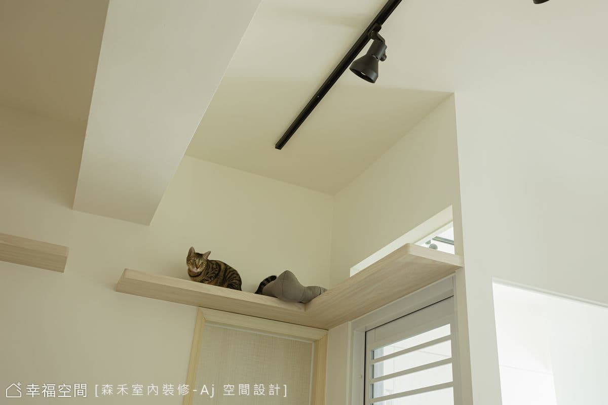 與貓共舞|輕日式風|22坪