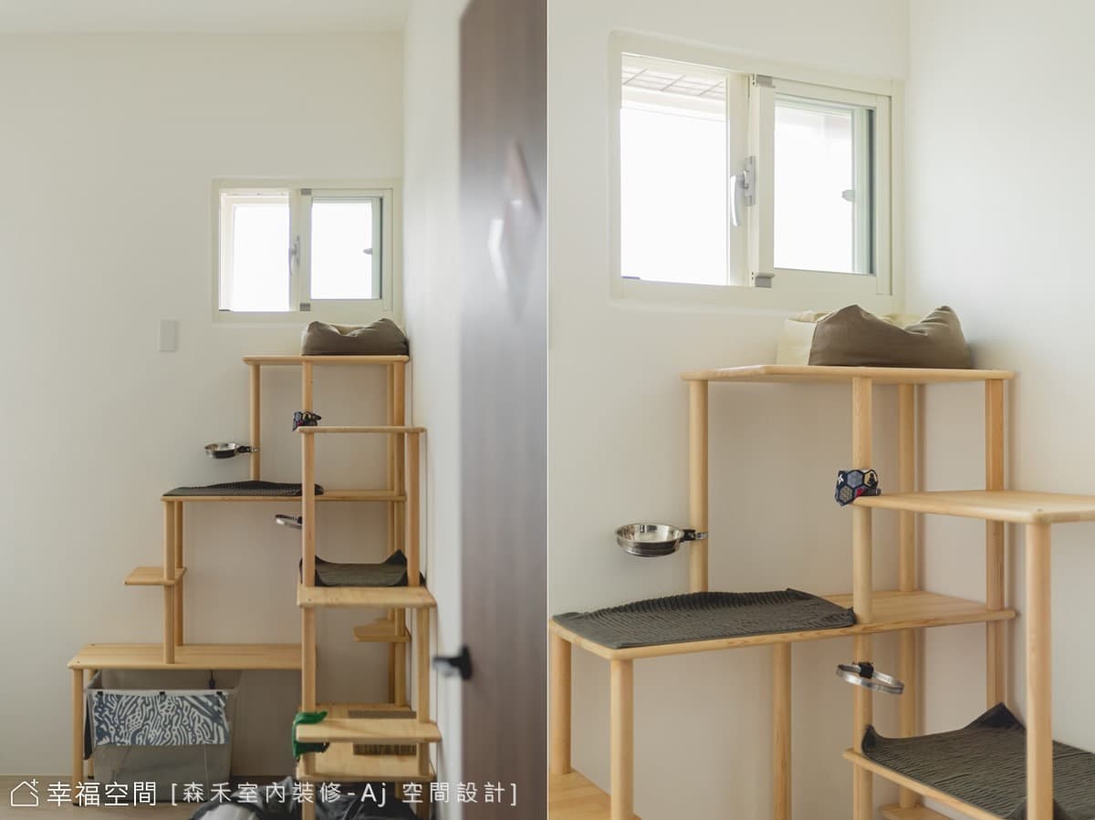 與貓共舞|輕日式風|22坪