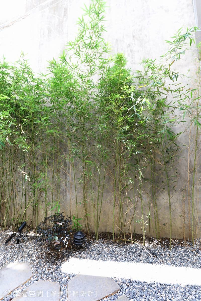 純粹．無垢|簡約風|54坪