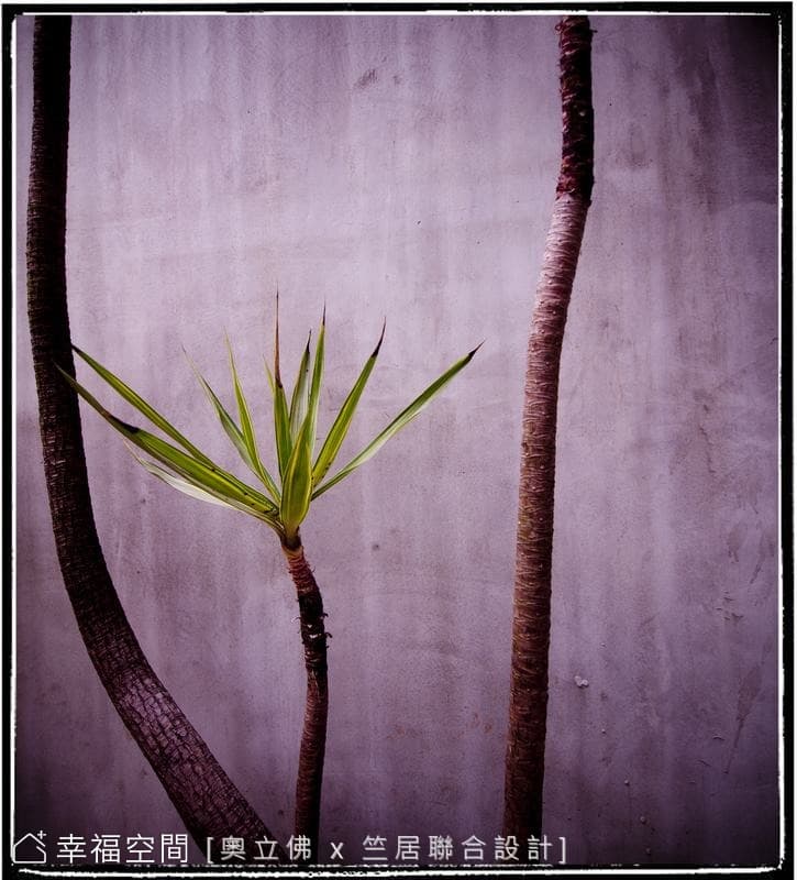 綠意植栽