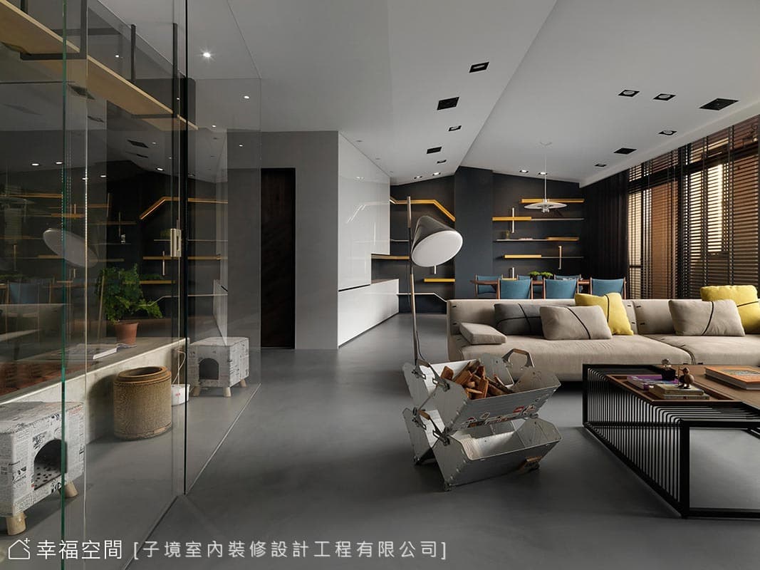 T型貓房