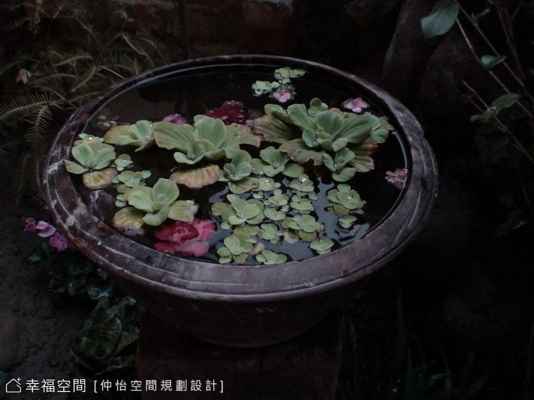 老物綠意