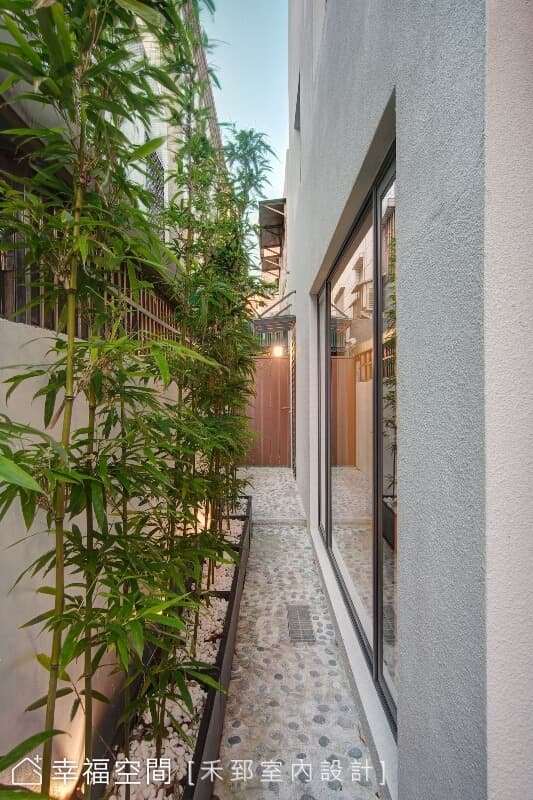 戶外植栽