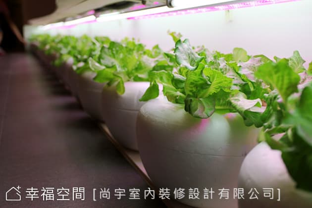 植裁