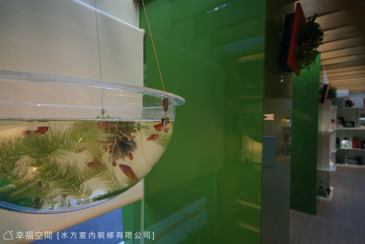 生態缸