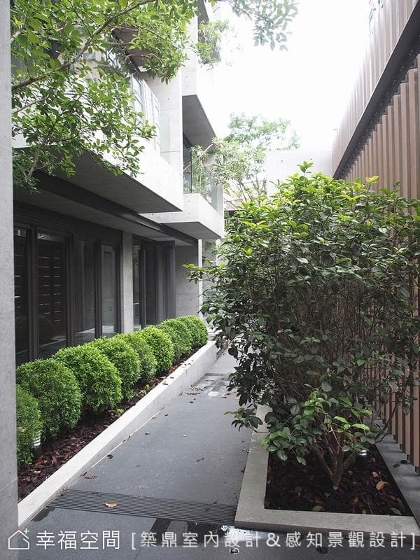 大隱隱於市
