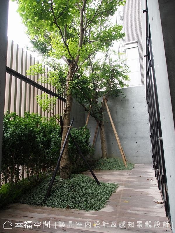 大隱隱於市
