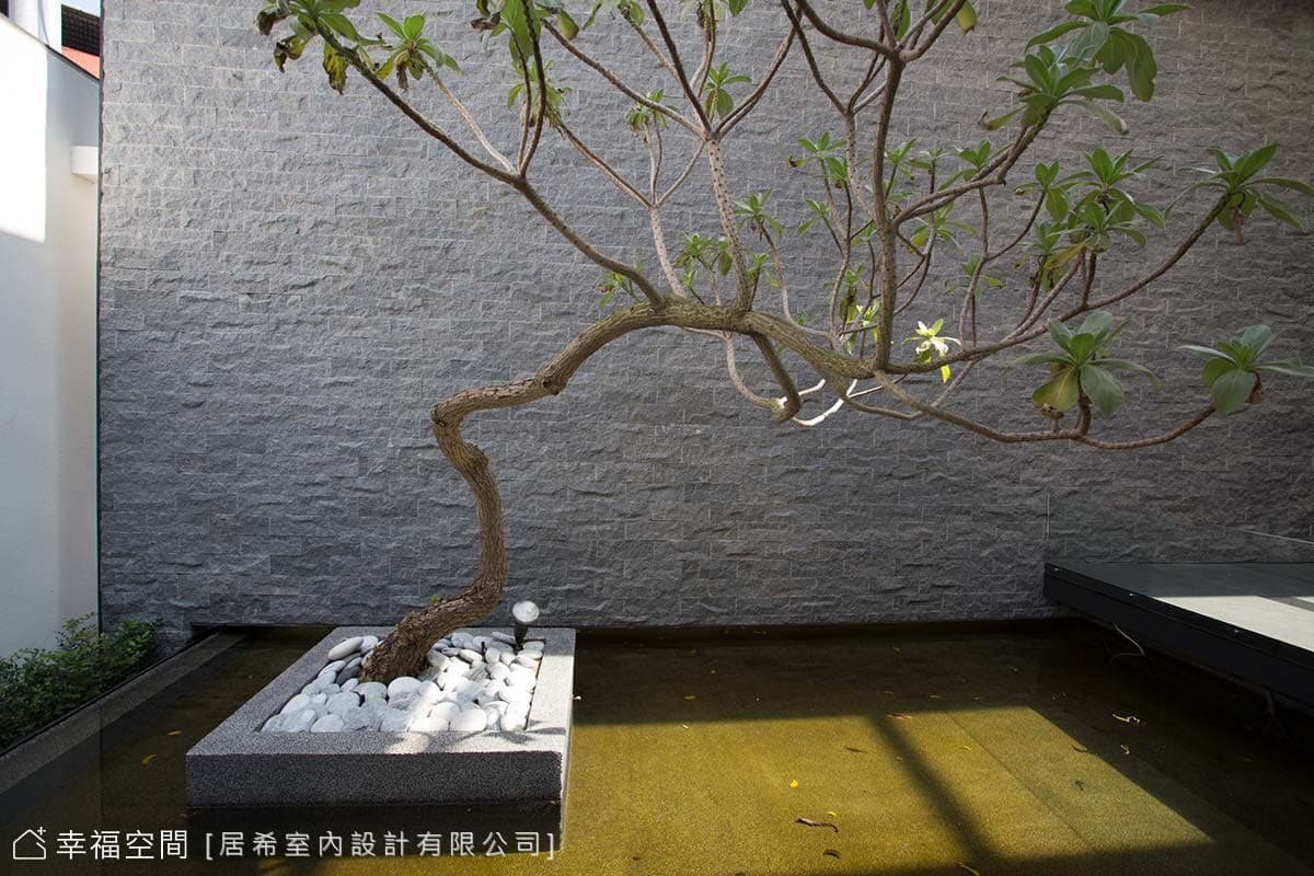中庭