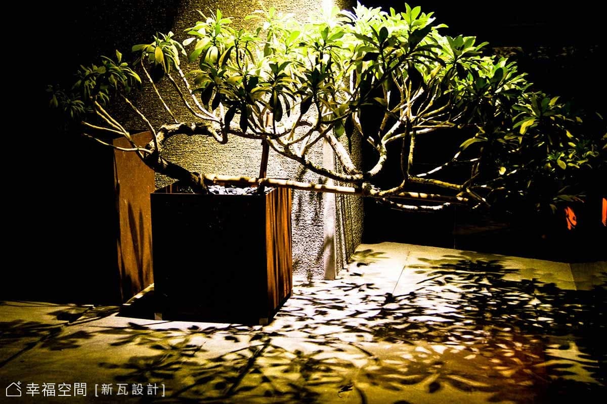 植栽一景