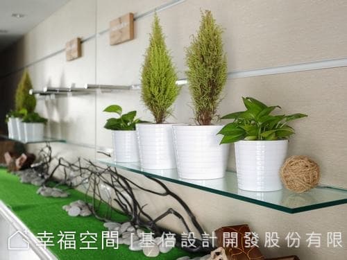 植栽展示