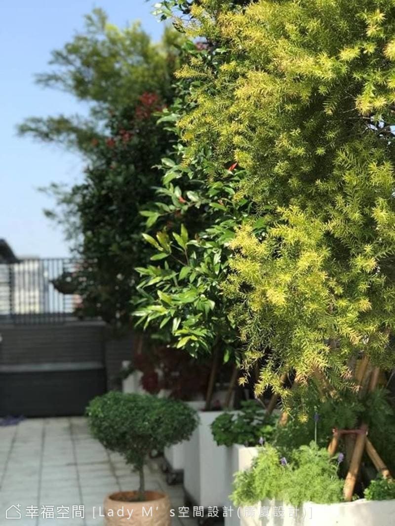 精選植栽