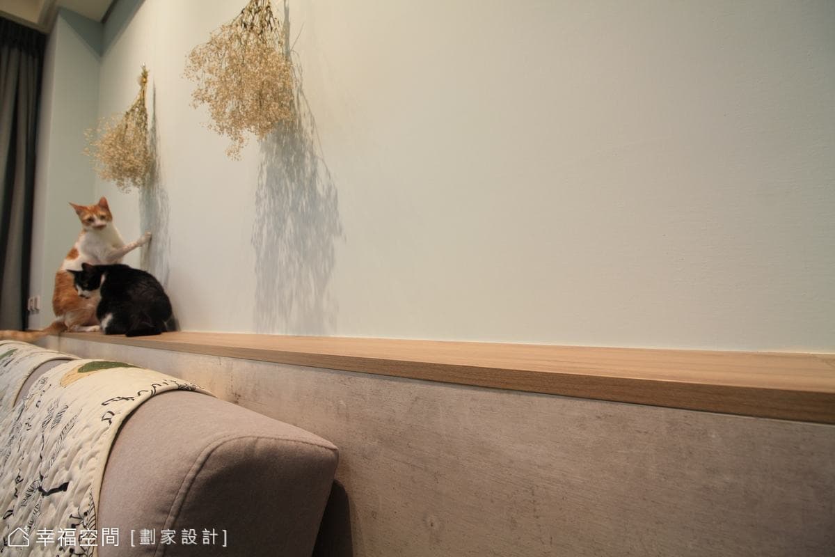 原木隔板設計