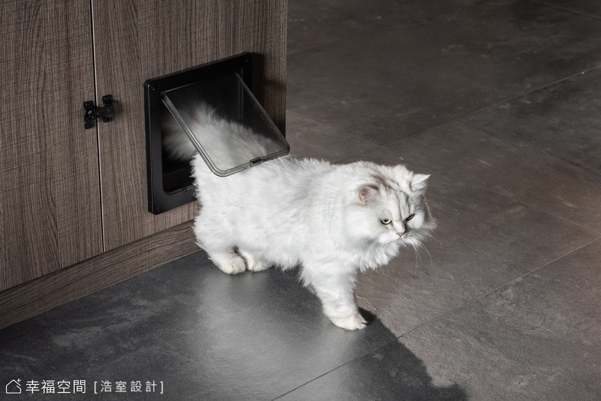 寵物專屬空間