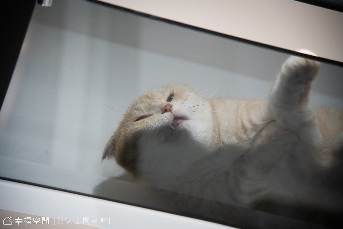 仁發富悅