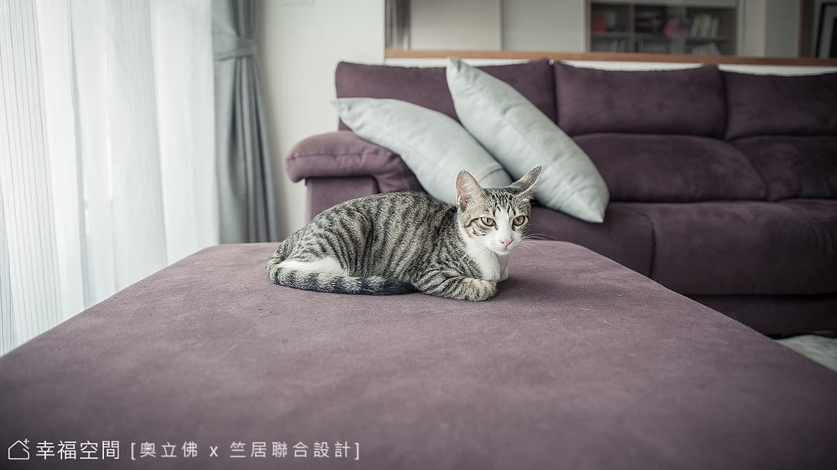 沙發